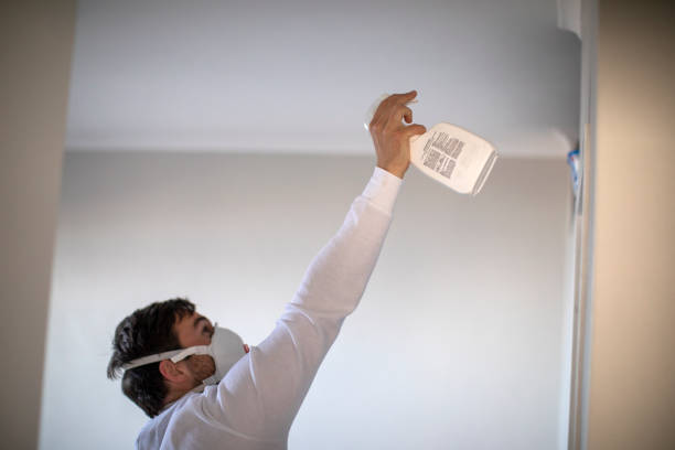 Best Black Mold Remediation in Chattahoochee, FL